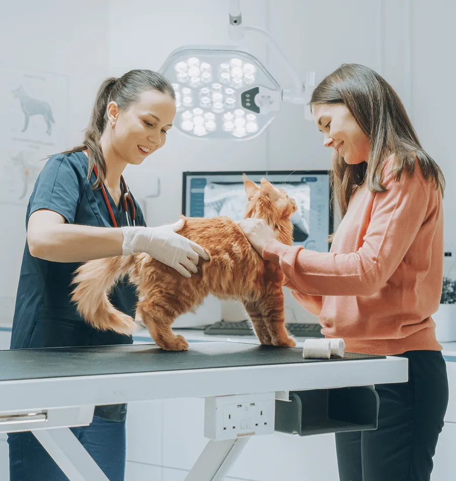 Veterinary Equipment Loans To Grow Your Vet Clinic