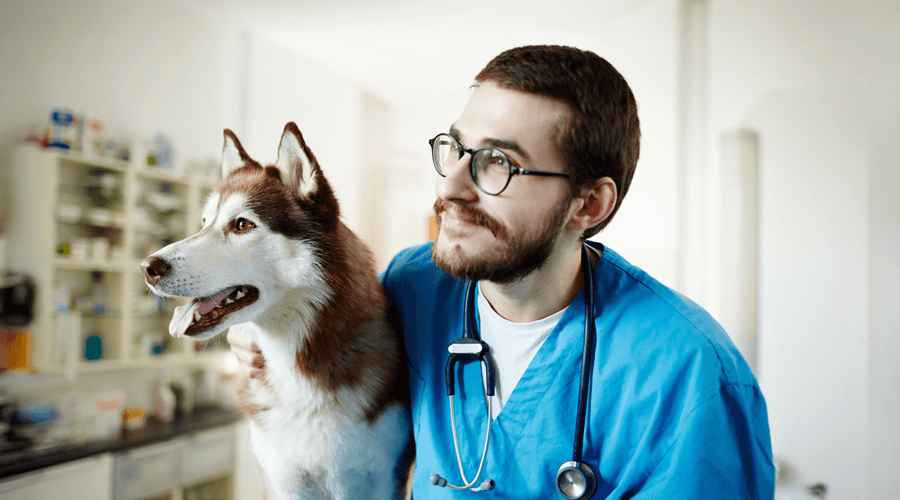 Veterinary Practice Loans 2025: Finance Tech Growth Now