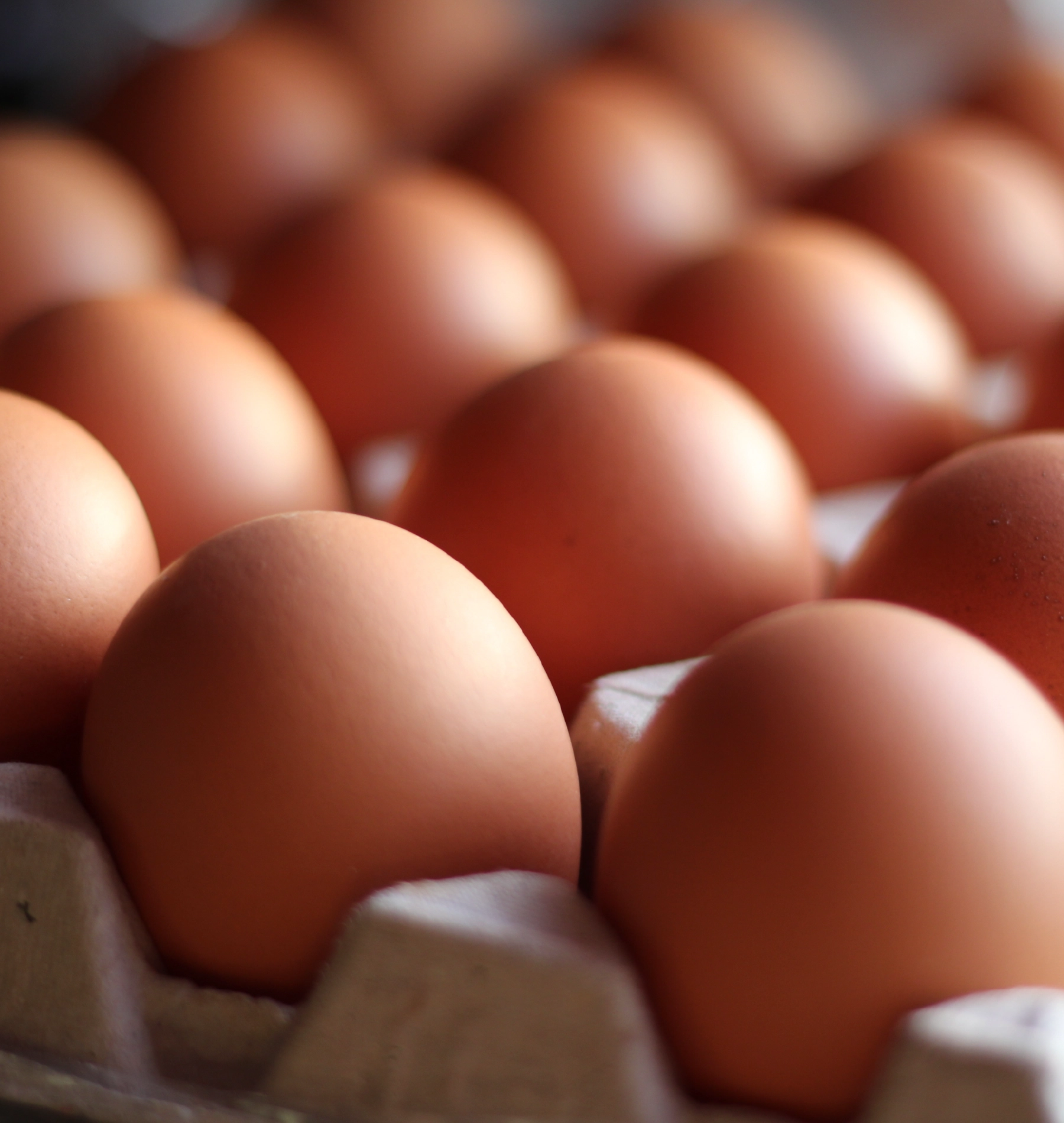 A close-up view of a carton filled with brown eggs, neatly arranged in individual compartments.
